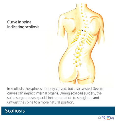 spinal column